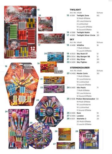 flyer 2022 06
